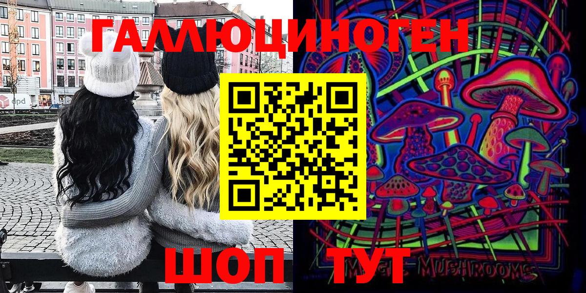 Галлюциногенные грибы Psilocybine cubensis Донецк